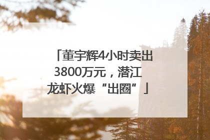 董宇辉4小时卖出3800万元，潜江龙虾火爆“出圈”