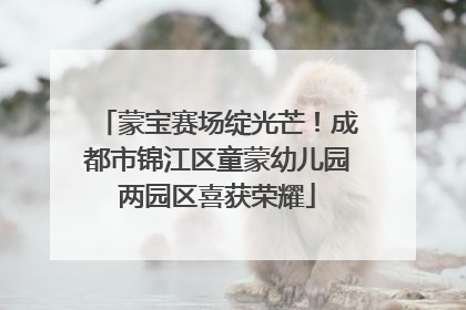 蒙宝赛场绽光芒！成都市锦江区童蒙幼儿园两园区喜获荣耀