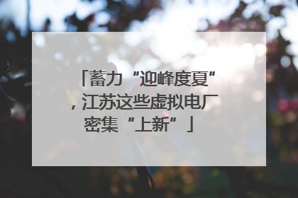 蓄力“迎峰度夏”，江苏这些虚拟电厂密集“上新”