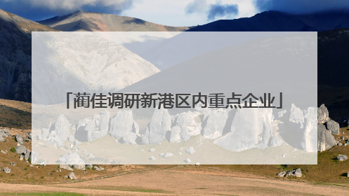 蔺佳调研新港区内重点企业