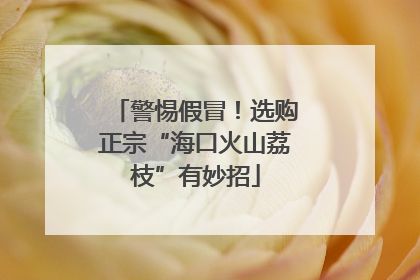 警惕假冒！选购正宗“海口火山荔枝”有妙招