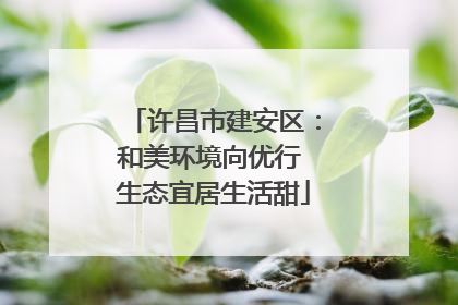 许昌市建安区：和美环境向优行 生态宜居生活甜