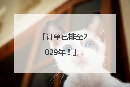 订单已排至2029年！