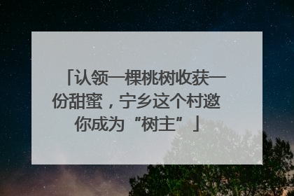 认领一棵桃树收获一份甜蜜，宁乡这个村邀你成为“树主”