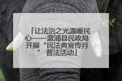让法治之光温暖民心——溆浦县民政局开展“民法典宣传月” 普法活动