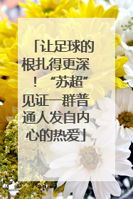 让足球的根扎得更深！“苏超”见证一群普通人发自内心的热爱