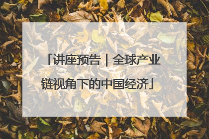 讲座预告｜全球产业链视角下的中国经济