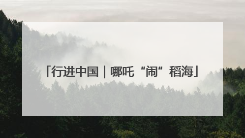 行进中国｜哪吒“闹”稻海