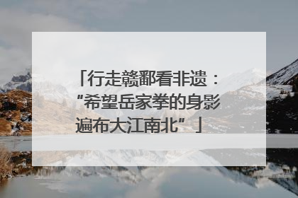 行走赣鄱看非遗：“希望岳家拳的身影遍布大江南北”