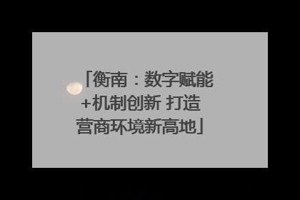 衡南：数字赋能+机制创新 打造营商环境新高地