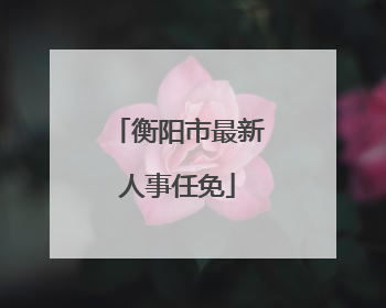 衡阳市最新人事任免