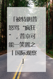 被特朗普怒骂“疯狂”，普京可能一笑置之丨国际观察