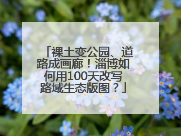 裸土变公园、道路成画廊！淄博如何用100天改写路域生态版图？