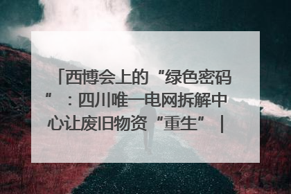 西博会上的“绿色密码”：四川唯一电网拆解中心让废旧物资“重生”｜西博寻“新”记