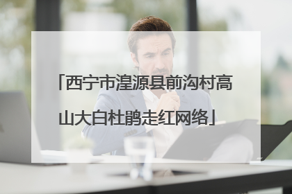 西宁市湟源县前沟村高山大白杜鹃走红网络