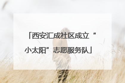 西安汇成社区成立“小太阳”志愿服务队