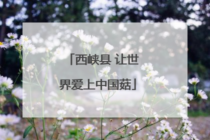西峡县 让世界爱上中国菇