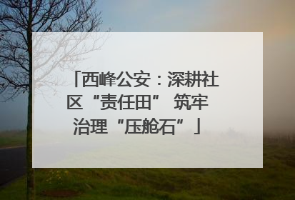 西峰公安：深耕社区“责任田” 筑牢治理“压舱石”