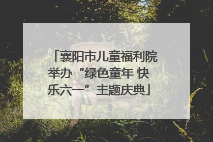 襄阳市儿童福利院举办“绿色童年 快乐六一”主题庆典