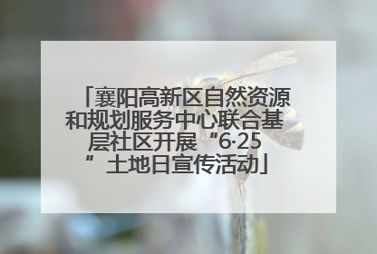 襄阳高新区自然资源和规划服务中心联合基层社区开展“6·25”土地日宣传活动