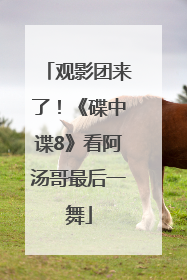观影团来了！《碟中谍8》看阿汤哥最后一舞
