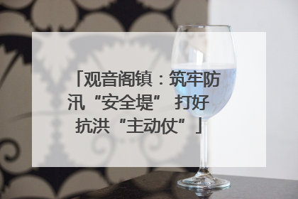 观音阁镇：筑牢防汛“安全堤” 打好抗洪“主动仗”