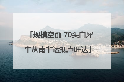 规模空前 70头白犀牛从南非运抵卢旺达