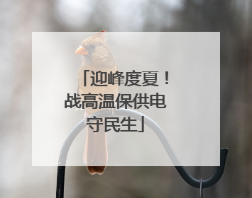 迎峰度夏！战高温保供电守民生