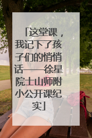 这堂课，我记下了孩子们的悄悄话——徐星院士山师附小公开课纪实