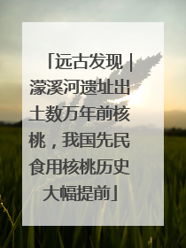 远古发现｜濛溪河遗址出土数万年前核桃，我国先民食用核桃历史大幅提前
