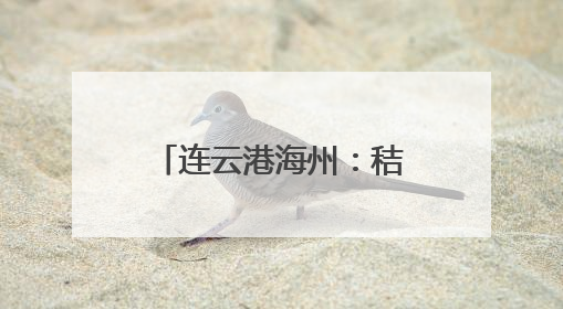 连云港海州：秸秆“逆袭”绘就生态农业新画卷