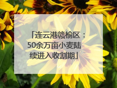 连云港赣榆区：50余万亩小麦陆续进入收割期