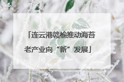 连云港赣榆推动海苔老产业向“新”发展