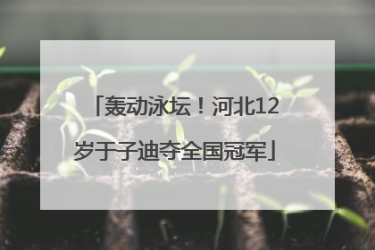 轰动泳坛！河北12岁于子迪夺全国冠军