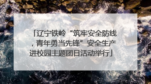 辽宁铁岭“筑牢安全防线，青年勇当先锋”安全生产进校园主题团日活动举行