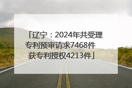 辽宁：2024年共受理专利预审请求7468件 获专利授权4213件