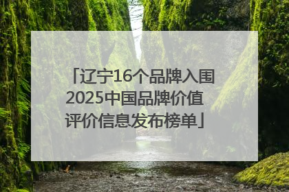 辽宁16个品牌入围2025中国品牌价值评价信息发布榜单