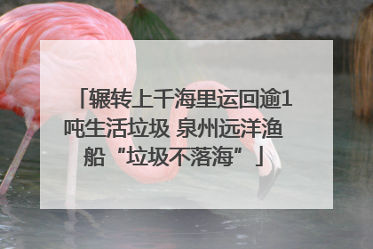 辗转上千海里运回逾1吨生活垃圾 泉州远洋渔船“垃圾不落海”