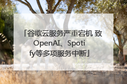 谷歌云服务严重宕机 致OpenAI、Spotify等多项服务中断