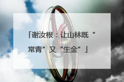谢汝根：让山林既“常青”又“生金”