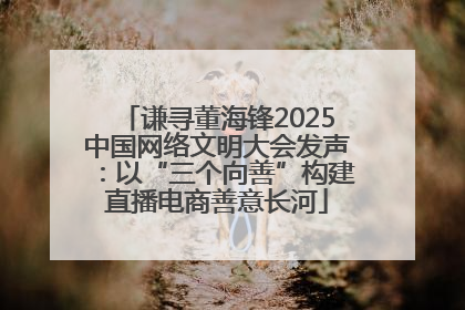 谦寻董海锋2025中国网络文明大会发声：以“三个向善”构建直播电商善意长河