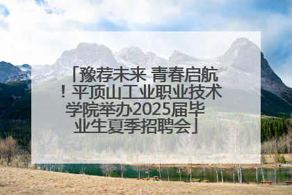豫荐未来 青春启航！平顶山工业职业技术学院举办2025届毕业生夏季招聘会
