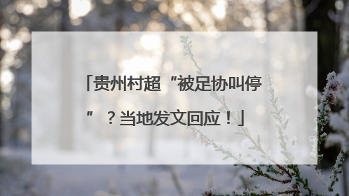 贵州村超“被足协叫停”？当地发文回应！