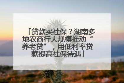 贷款买社保？湖南多地农商行大规模推动“养老贷”，用低利率贷款提高社保待遇