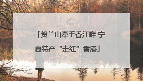 贺兰山牵手香江畔 宁夏特产“走红”香港