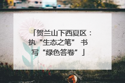 贺兰山下西夏区：执“生态之笔” 书写“绿色答卷”
