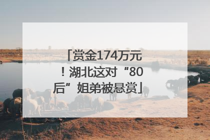 赏金174万元！湖北这对“80后”姐弟被悬赏