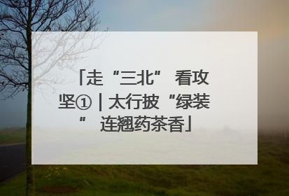 走“三北” 看攻坚①｜太行披“绿装” 连翘药茶香