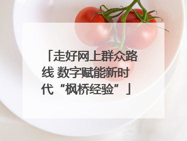 走好网上群众路线 数字赋能新时代“枫桥经验”