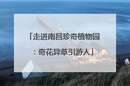 走进南昌珍奇植物园：奇花异草引游人
